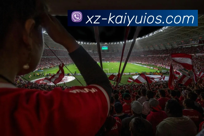 开元体育APP 高清赛事图